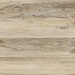 Амбер Керамогранит бежевый SG162700N 40,2х40,2_1
